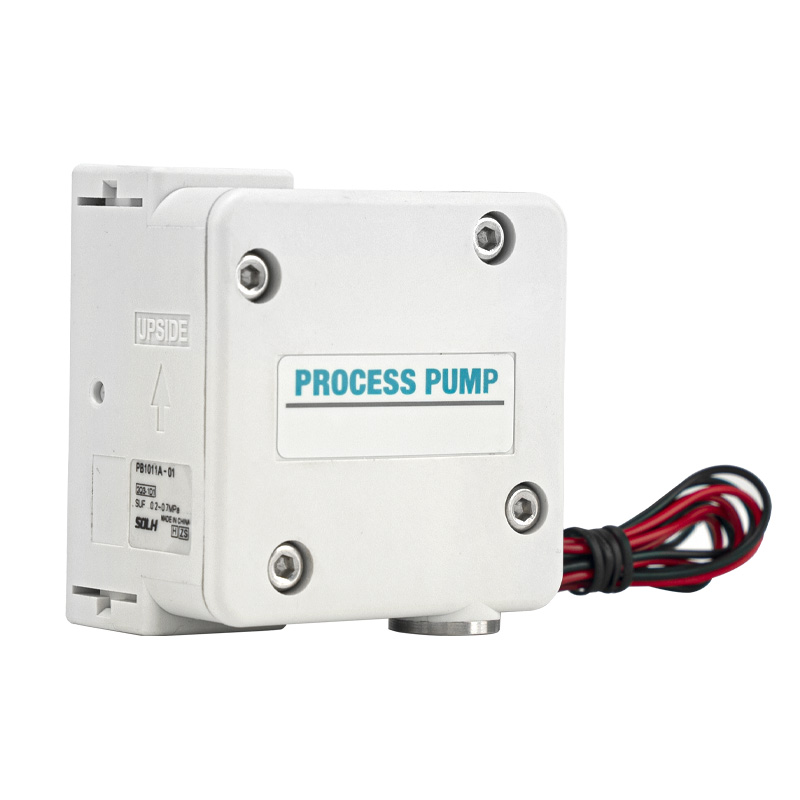 Bomba de Processo PB1011